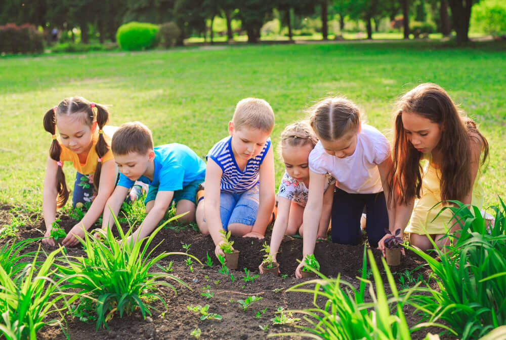 Occupational therapy at Play2Learn special school in AP image